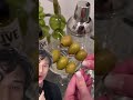 DIRTY Martini Bath. #dermreacts #skincareroutine #asmr