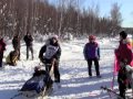 Iditarod 2012 IT.mov