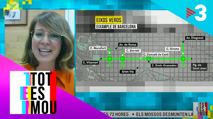 Janet Sanz: "s un projecte que porta el pla Cerd a...