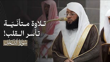 تلاوة متأنّيّة تأسر القلب من سورة النحل للشيخ بدر التركي | فجر الإثنين 17-2-1447هـ