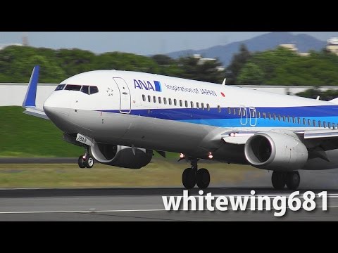 ANA 国旗カット Aviationtag B737-700 ANA 国旗カット Aviationtag B737-700 - メルカリ