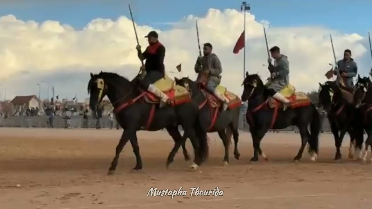 من محرك الفقيه بن صالح تداريب سربة المقدم عبد الجليل البوعبادي إستعدادا لإقصائيات الجهوية للتبوريدة