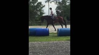 Praise the blue flat work 2016