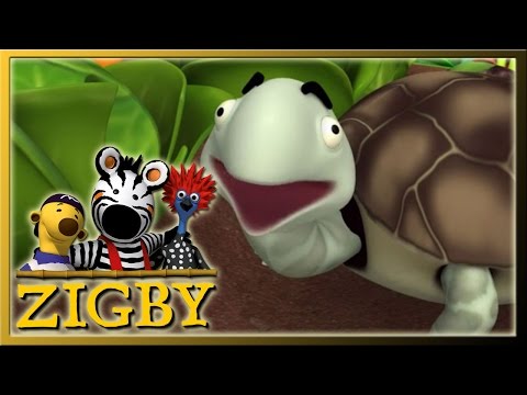 Zigby Episode 52 Zigby And The Tortoise
