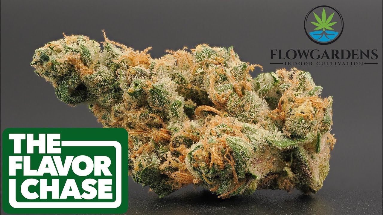 The Flavor Chase | 17 | Hemp Flower Review | Alpen Flow by Flow Gardens | HIGHLY EFFECTIVE TYPE II