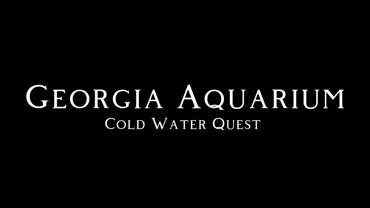 Aquarium Cold Water Quest YouTube