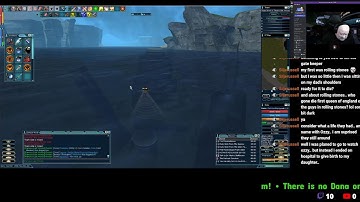 Anarchy Online - Back in USA