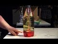 Iron science teacher 2015 plastic bottles  exploratorium