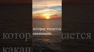 Когда вас кто-то пытается обидеть. Представьте себе обезьянку, которая кидается какашками...