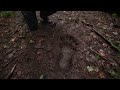 Did I Just Find a Giant Footprint in the Woods?