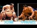千代の富士  対   大乃国  8番