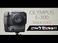 OLYMPUS E-300をアイマンマンみたいにレッド×ゴールドにいつかしようと僕は企んでいる。