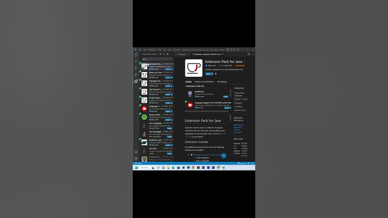 Java extension for visual studio code run java program in visual