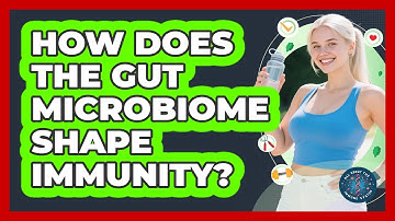 How Does The Gut Microbiome Shape Immunity? - All About the Immune System
