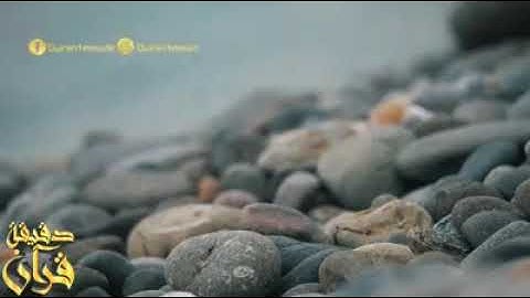 مشاري راشد العفاسي قرآن كريم #العفاسي حالات واتس اب قرآن كريم .. أرح قلبك و سمعك ...