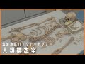 国立科学博物館　筑波地区バックヤードツアー「人類標本室①」