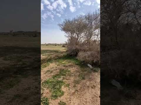 أكرم عجور على الارض اصهارا هند بنت عوف بن زهير