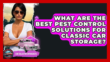 What Are The Best Pest Control Solutions For Classic Car Storage? - Car Collector Enthusiasts