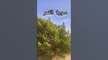 سورة القمر تلاوه تريح القلب والأعصاب #تلاوة_خاشعة #اكسبلور #المصحف #راحة_نفسية#القرآن_الكريم #القرآن
