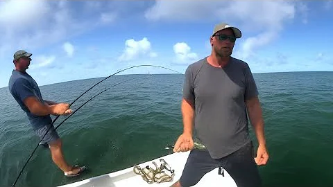 "Monster Goliath Grouper! Catching the King of the Reef"