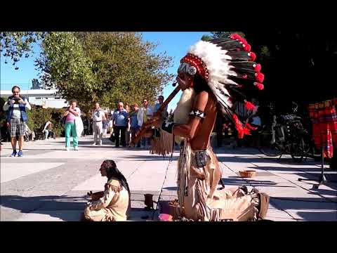 The Last of the Mohicans by Alexandro Querevalú