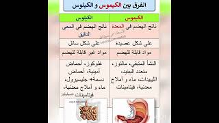 bem2022 هيا نتعرف على الفرق بين الكيموس والكيلوس