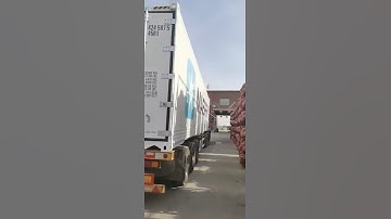 factory loading garlic container exported to africa country low price ,good quality garlic