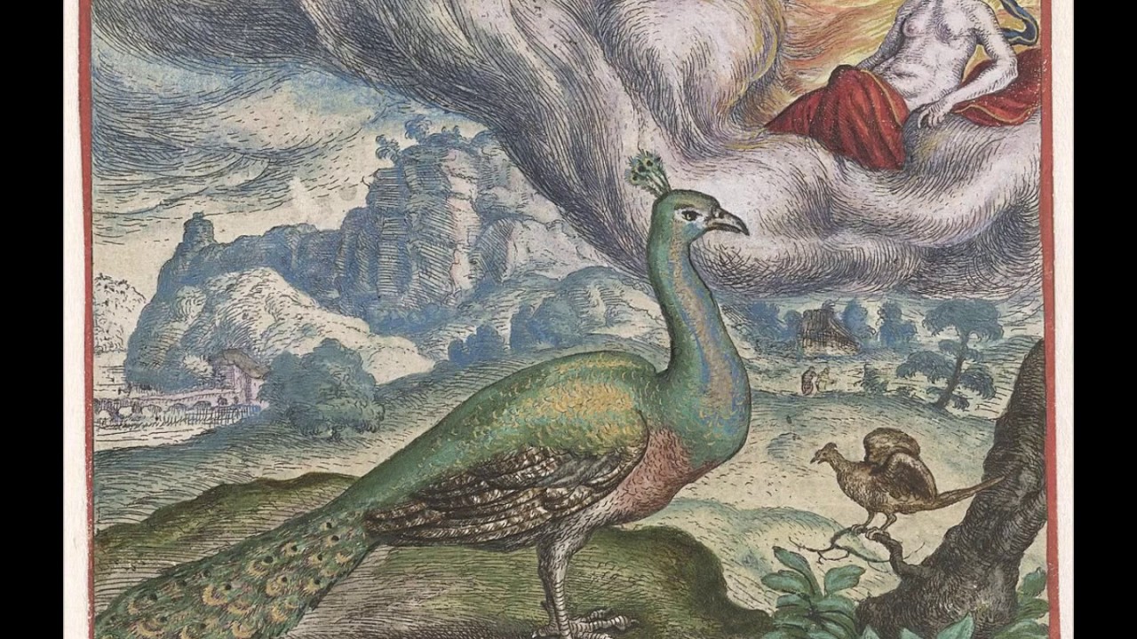 D'India: "Odi quel rosignuolo". Kirkby, Rooley.