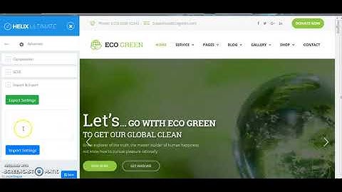 Import theme settings - Helix Ultimate