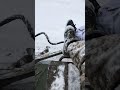 РЕАЛЬНЫЕ КАДРЫ С ФРОНТА ЗСУ
