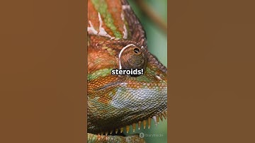 The real science behind invisibility cloak #InvisibilityCloak #ScienceFiction #Optics #Metamaterials