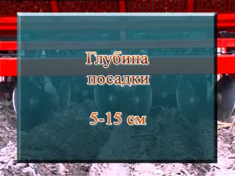 Видео: 2-рядный завод по производству ячменя: выращивание 2-рядного пивоваренного ячменя в домашнем саду