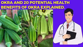 Okra and 20 Health benefits of okra