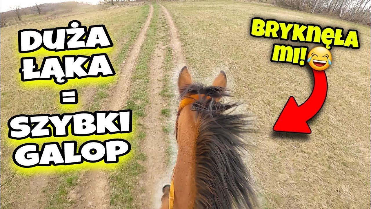 Jedziemy w teren NA ŁĄKI! *rodeo w galopie*