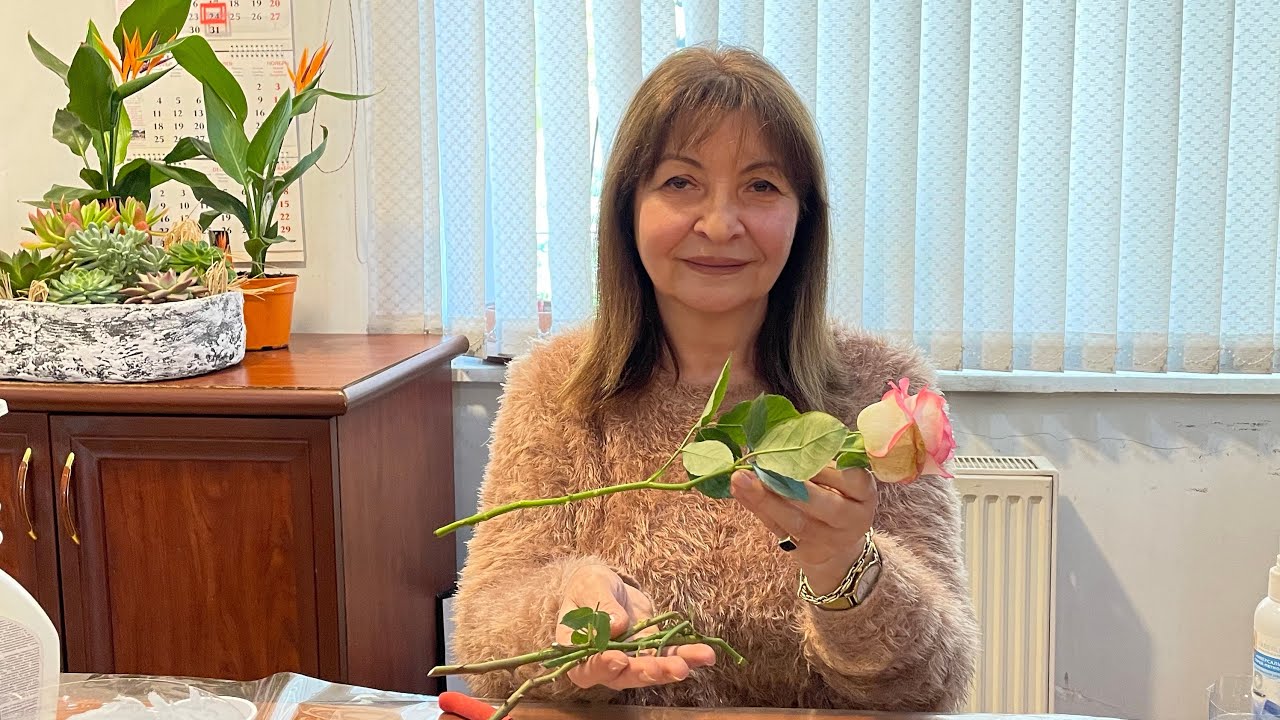 Վարդերի բազմացման չորս ճիշտ տարբերակ