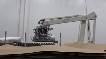 Sigma Equipment G9347 Columbia Okura A700 Robotic Bag Palletizer in operation