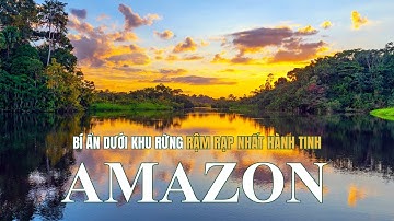 AMAZON HOANG DÃ - BÍ ẨN DƯỚI KHU RỪNG RẬM RẠP NHẤT HÀNH TINH. #thegioidongvat