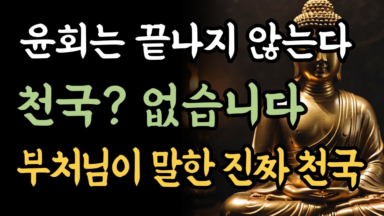부처님은 천국이 없다고 하셨습니다 l 불교에서의 천국은 어디인가 | 극락, 천상계, 그리고 해탈의 길 | 부처님의 가르침 | 마음의등불