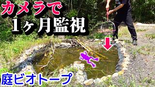 初めて〇〇が映った！ビオトープ作って４ヶ月経過