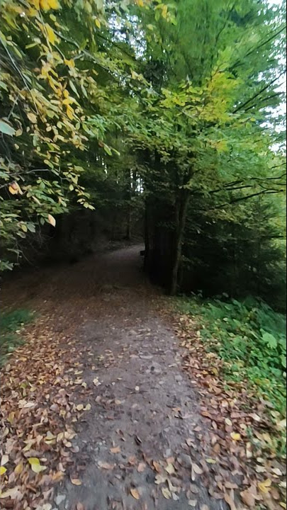 A walk through the Skole Beskids