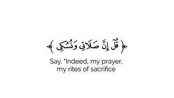 كروما شاشه بيضاء قرآن كريم 🌿تلاوة من سورة الأنعام 🌿القارئ عبدالوهاب طاهر لطيف 🌿