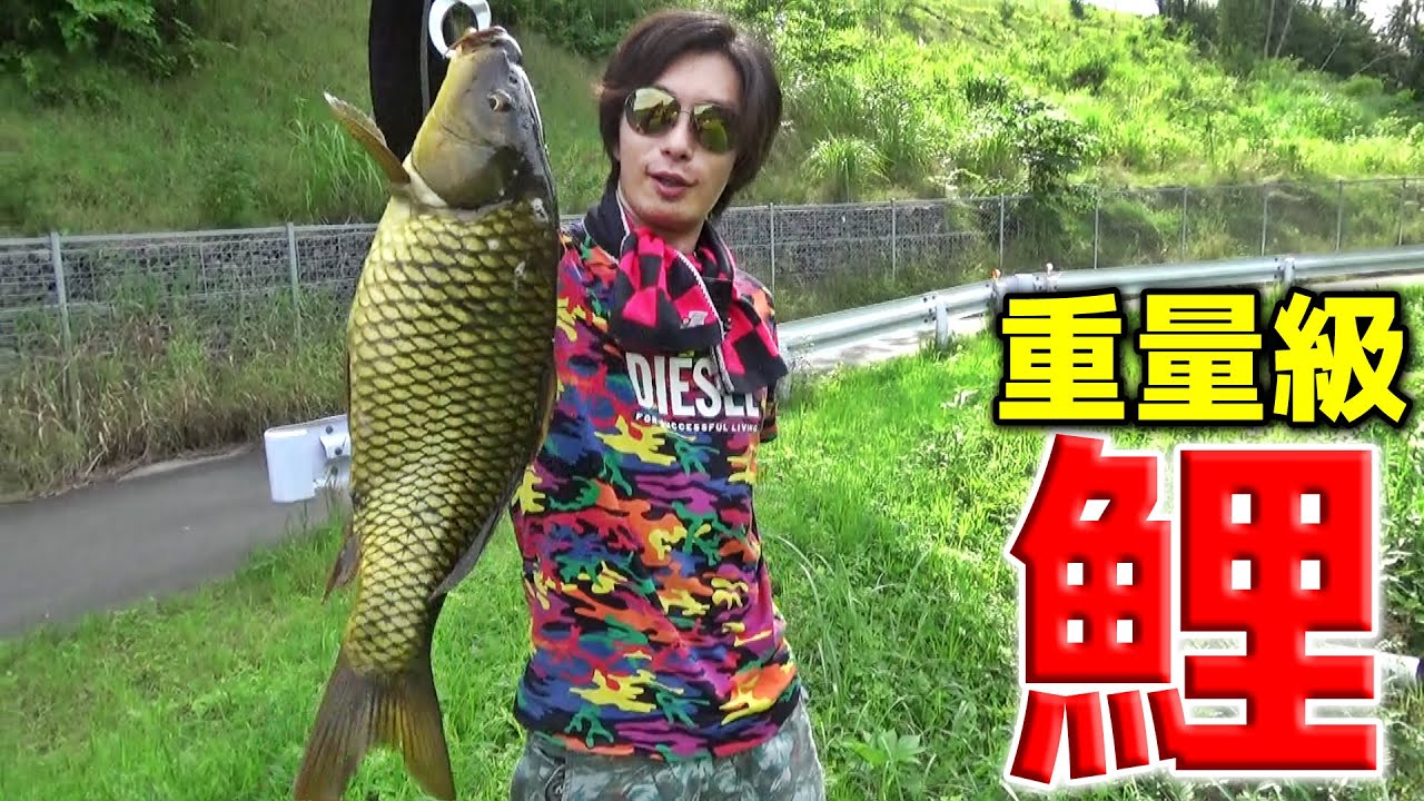 ドデカい鯉を釣り上げて、結果的に巨大日本ナマズを食べる破天荒系動画【完全版】