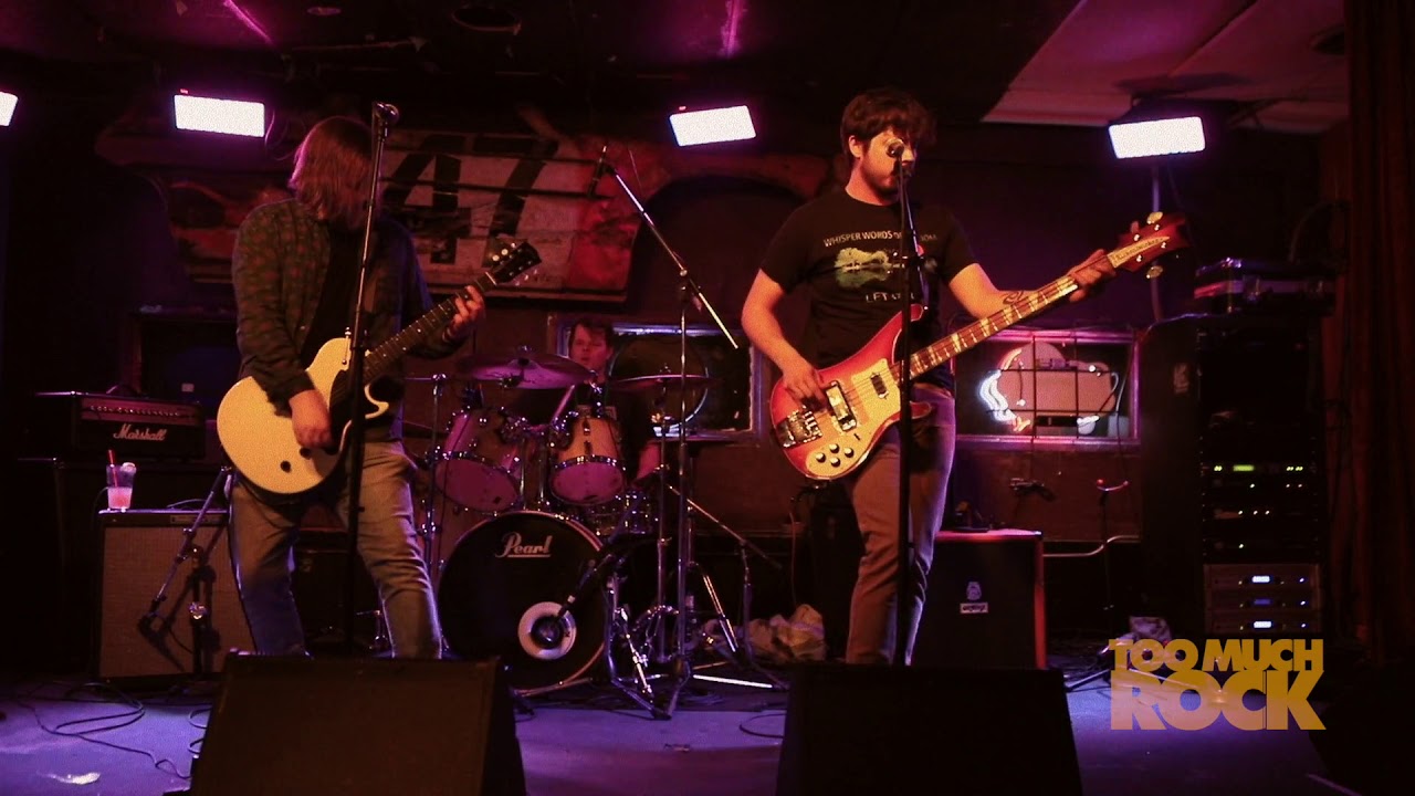 Scruffy & the Janitors - Modeling Is Hard (live)