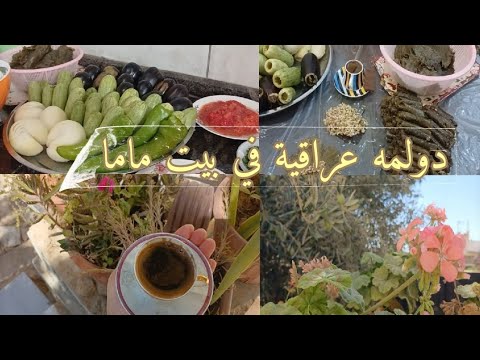 روتيني في بيت أهلي دولمه عراقية على أصولها خمس أمور غيرت حياتي للأفضل