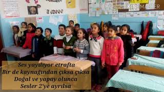 Doğal ve Yapay Sesler Şarkımız