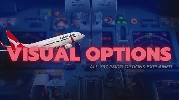 VISUAL OPTIONS  - ALL 737 PMDG OPTIONS EXPLAINED