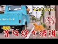 首輪狩り遭遇