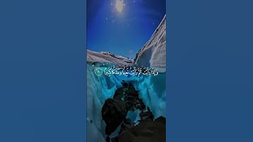 عينا فيها تسمى سلسبيلا #بندعم_بريرتنا  #محمد_اللحيدان #سورة_الإنسان 
