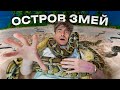 ОСТРОВ ЗМЕЙ!*проникли в самое опасное место в мире* image