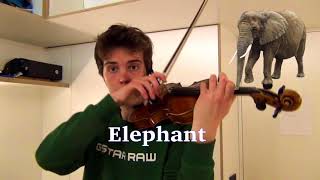Animal sounds on violin - YouTube